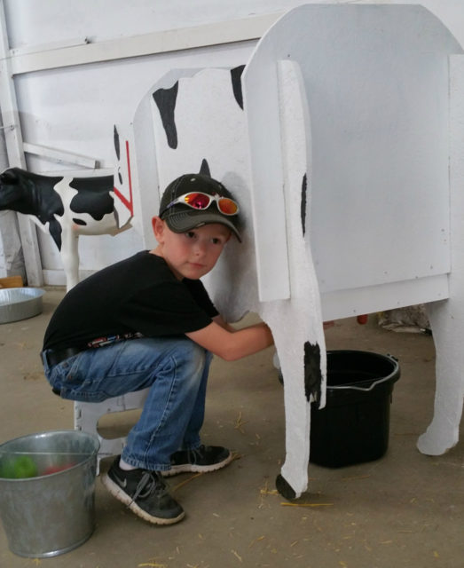 Little Shavers Milking a Cow