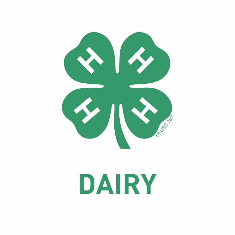 Dairy