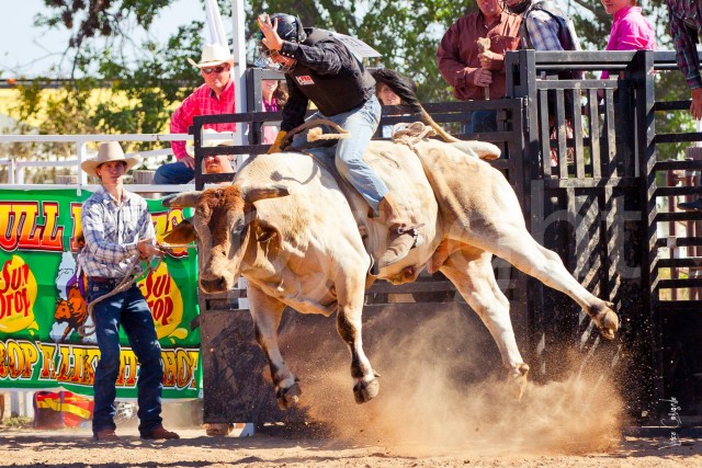 Rodeo